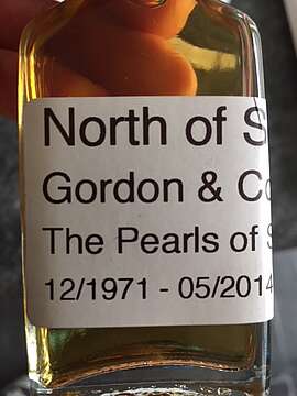 North Of Scotland 42 Year Old 1971 - Pearls Of Scotland (Gordon & Company)