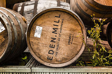Eden Mill Original Gin   » To the online store